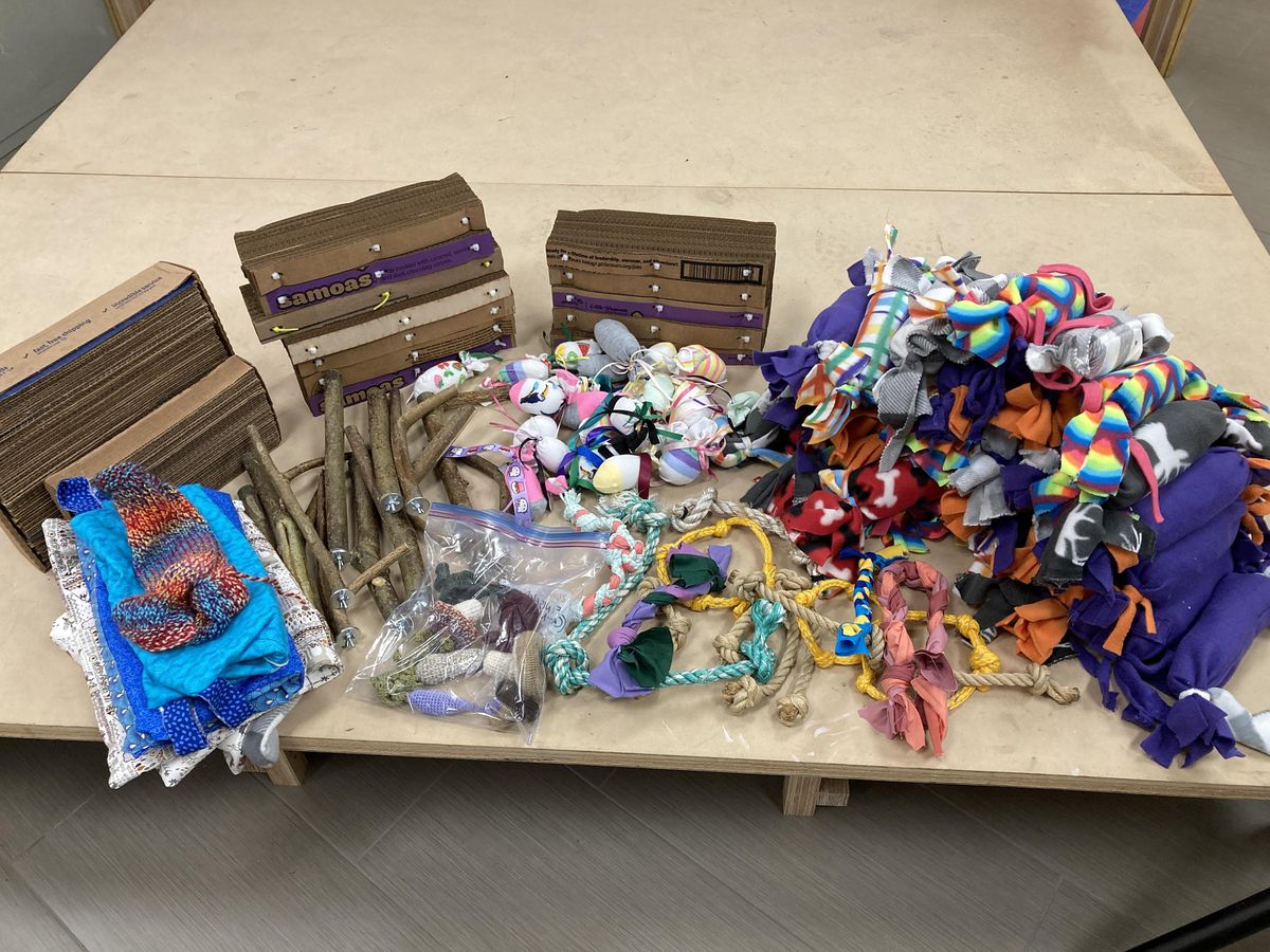 Crafting for Creatures Making toys for Shelter Animals Meetup Bellingham Makerspace June 18