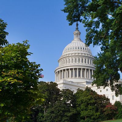 Public Interest Communications Summer Institute