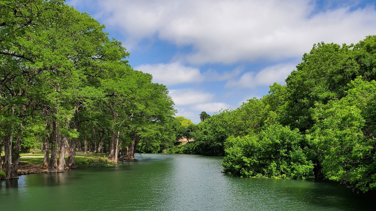 Parking Leslie Jones
