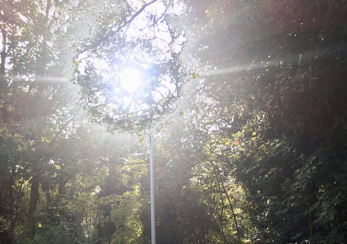 21st Century Magic and Spirituality in Media and Culture