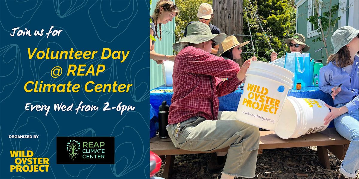 Volunteer Day @ REAP Climate Center
