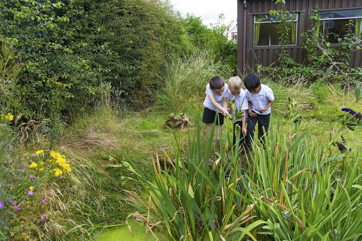 The Natural Curriculum Hub Meeting