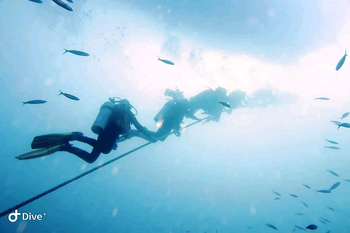 Try SCUBA Diving 23rd November 2022 Oasis Sports Centre London EN try-scuba-diving-23rd-november-2022-oasis-sports-centre-london-en