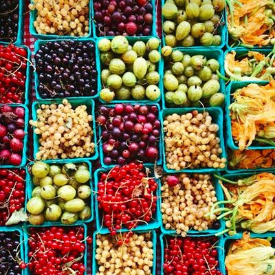 Miami Culinary Kitchen @ Pinecrest Farmers Market