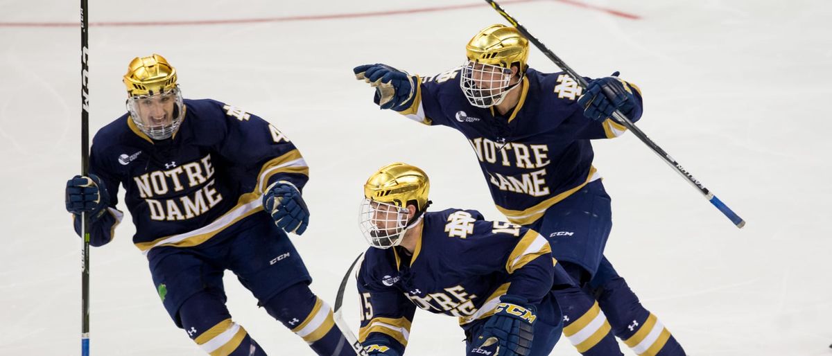 Notre Dame Fighting Irish at Michigan Wolverines Mens Hockey