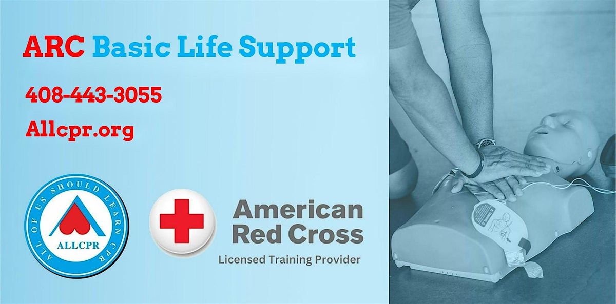 Red Cross Basic Life Support class in Wilmington