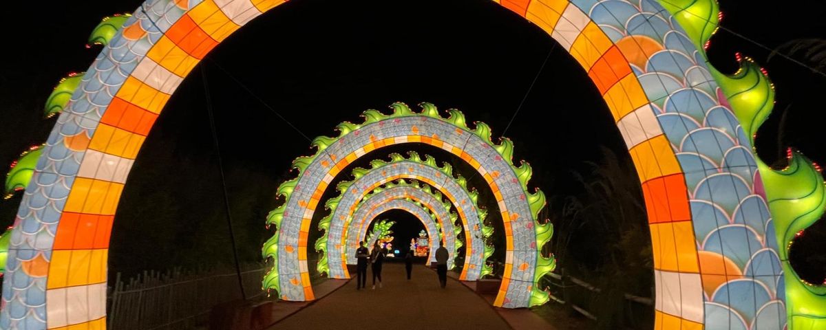 Parking Dial M for Murder - Grand Rapids