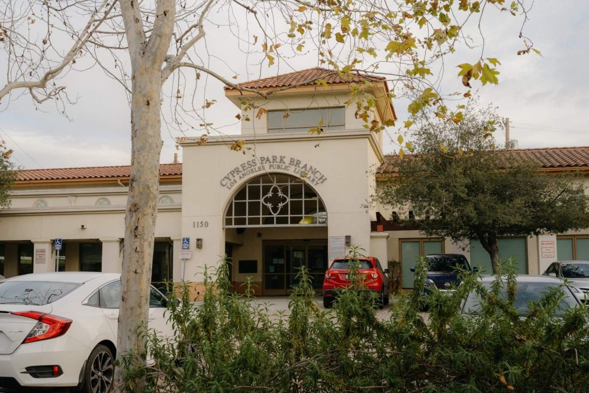 Parking Molly Grace (16+)