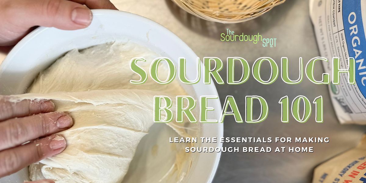 Sourdough Bread 101 Learn the Essentials for Making Sourdough Bread