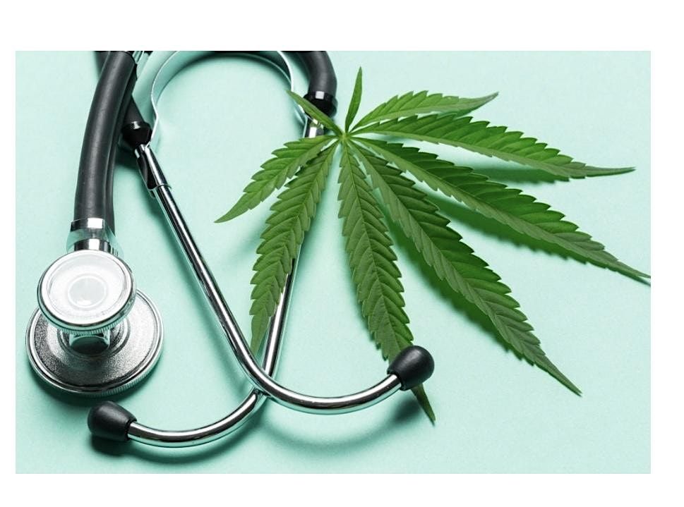 Curious about Medical Cannabis?  Meet the Doctor, Get Qualified on the Spot