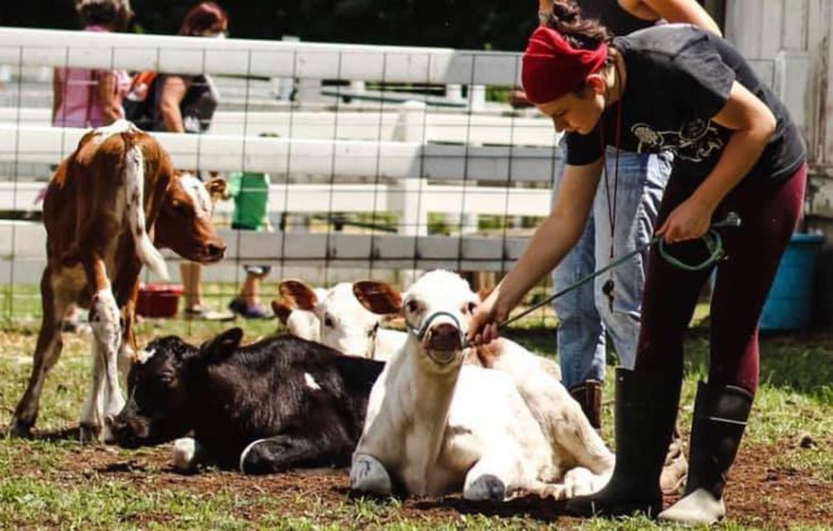 So you want to be a farmer? Adult Farm Camp at Hillside The Lands At