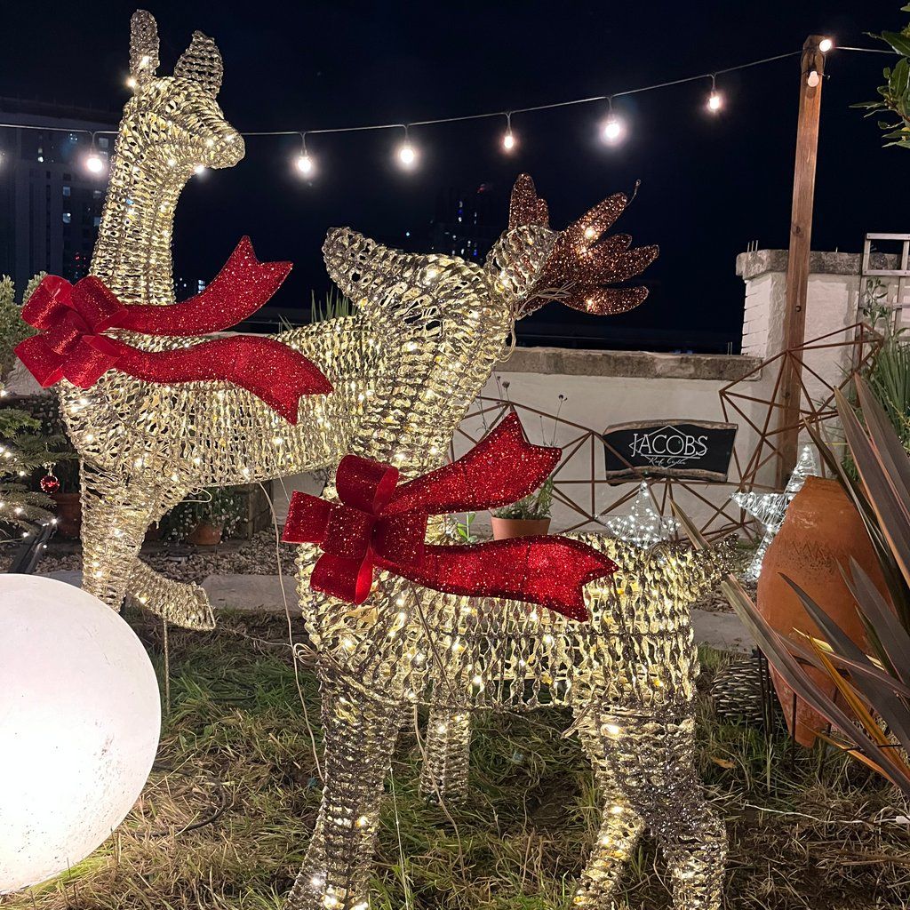 Rooftop coffee shop serving mulled wine and mince pies!