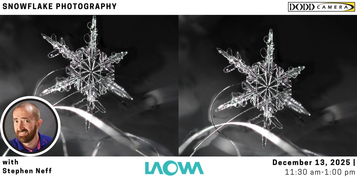 Snowflake Photography with Laowa in Cleveland