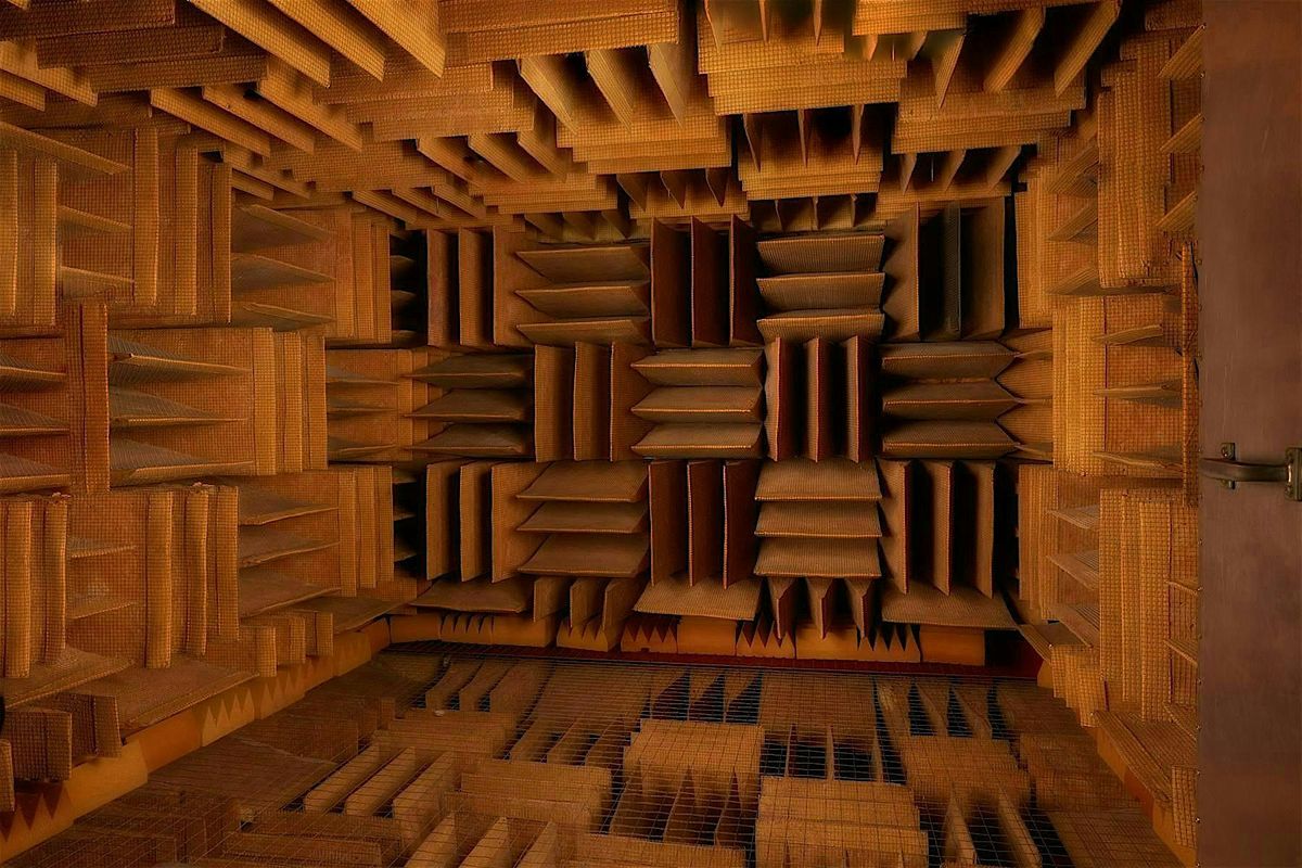 Group Perceptual Silence  in "The Quietest Place on Earth"