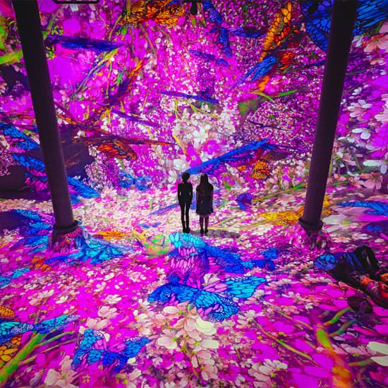 ARTECHOUSE Presents: Blooming Wonders