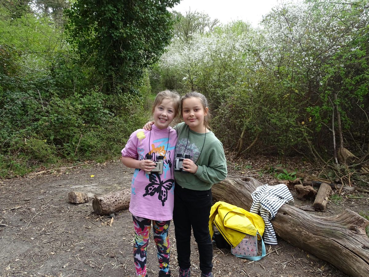 Tiptree Family Forest Fun