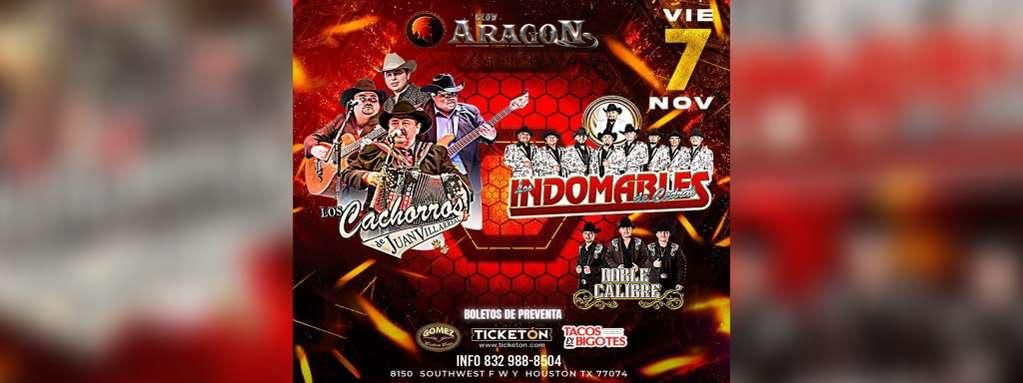 LOS CACHORROS DE JUAN VILLARREAL, LOS INDOMABLES DE CEDRAL