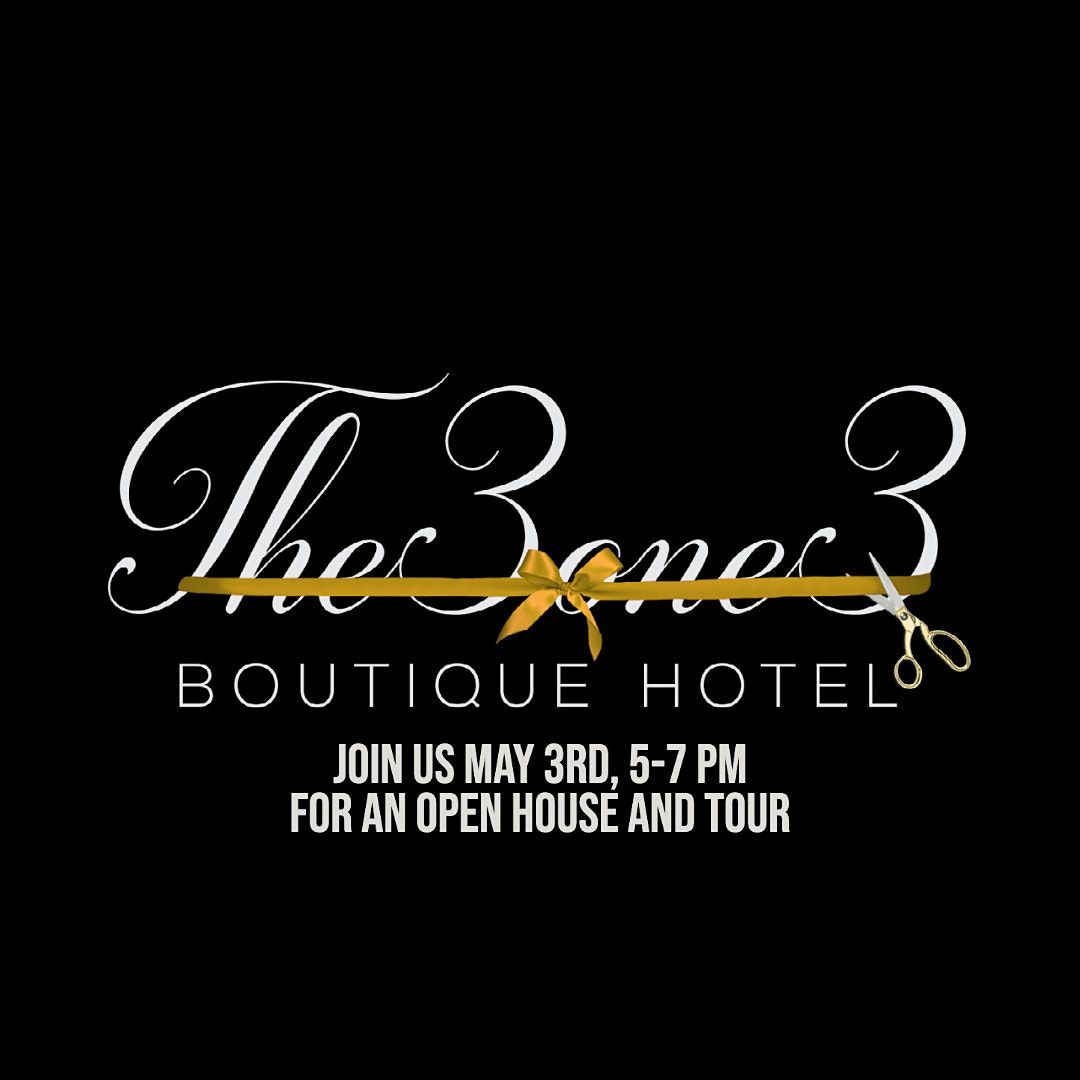 3one3 Boutique Hotel Open House Tour 313 N State St Alma MI