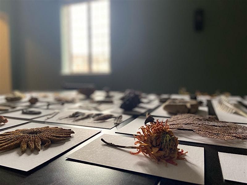 STUDY HALL (Open Studio)