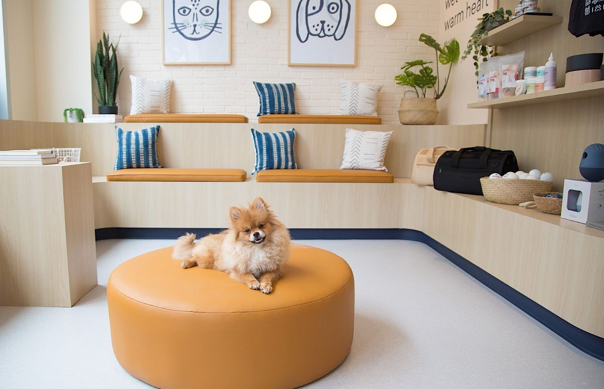 Bond Vet - NoHo Open House Party