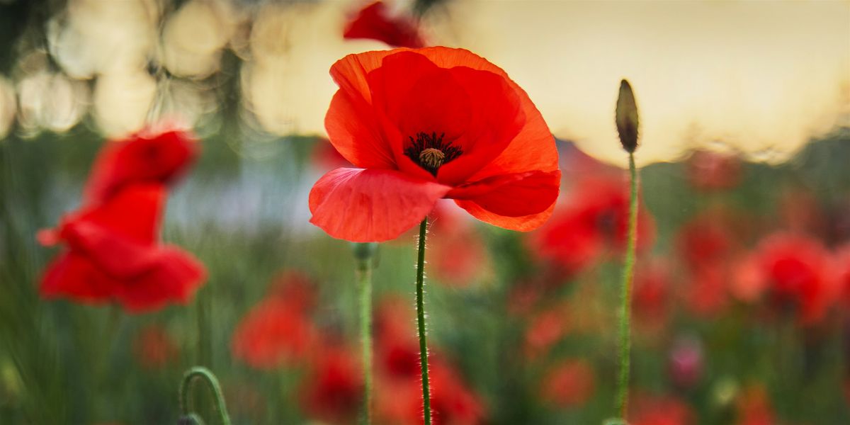 Act of Remembrance 2025