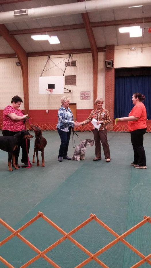 All Breed Dog Show