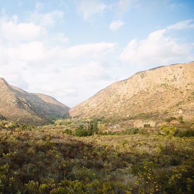 Mission Trails Regional Park Foundation