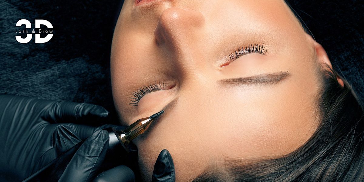 Dallas Microblading Powder Brow Nano Brow Certification Classes 3D Dallas Microblading Powder Brow Nano Brow Certification Classes 3D