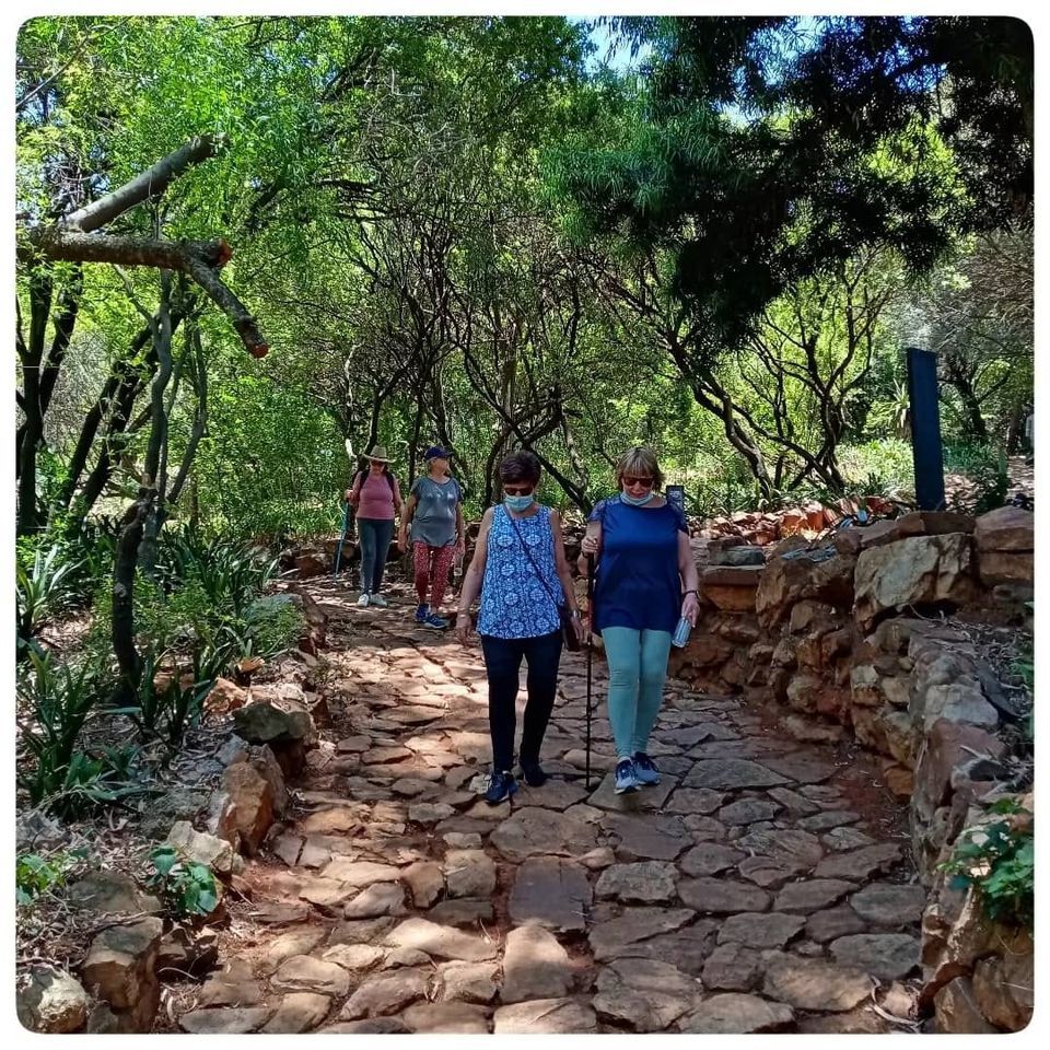 The Wise Wildies Hike The Wilds Municipal Nature Reserve