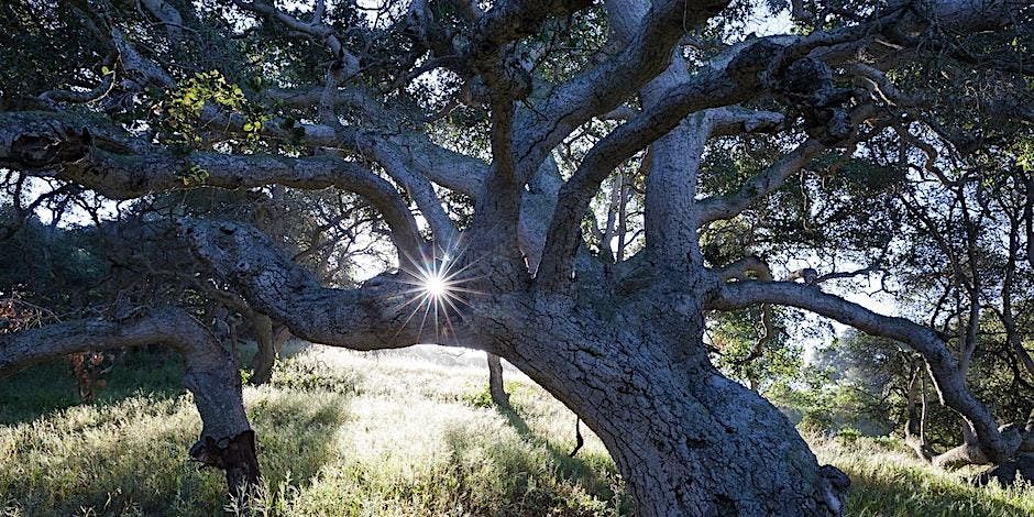 Mindfulness Tour at the Elkhorn Slough Reserve