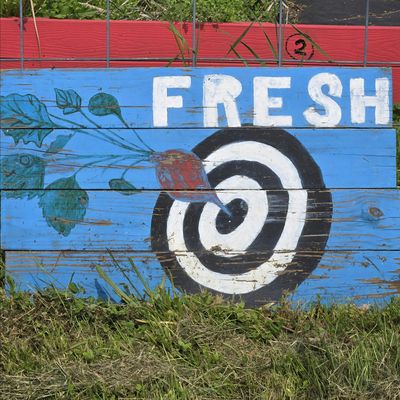 FRESH New London