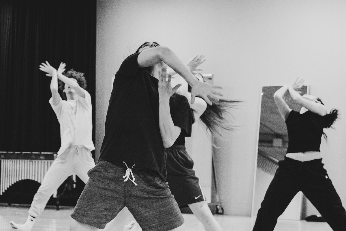 DOUBLE SKIN\/DOUBLE MIND class for Advanced