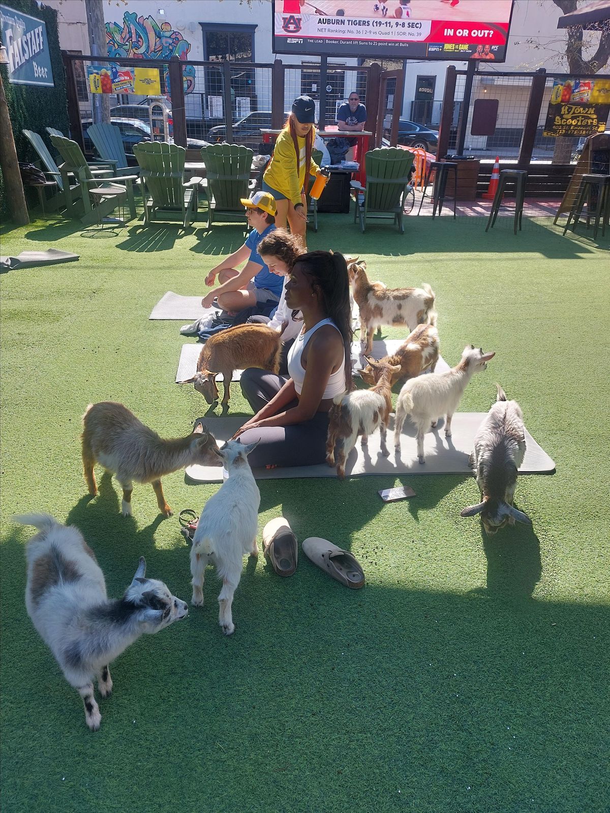 Goat Yoga Houston Class Little Woodrows Rice location