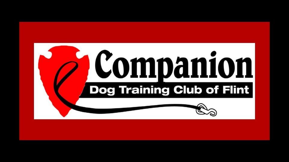 AKC ALLBREED FAST CAT TESTS All Dogs Can LLC, Lapeer, MI May 6, 2023