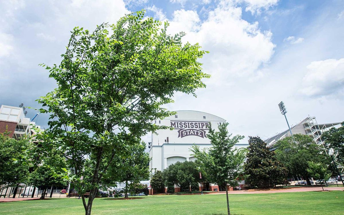 Parking Vanderbilt Commodores at Mississippi State Bulldogs Baseball