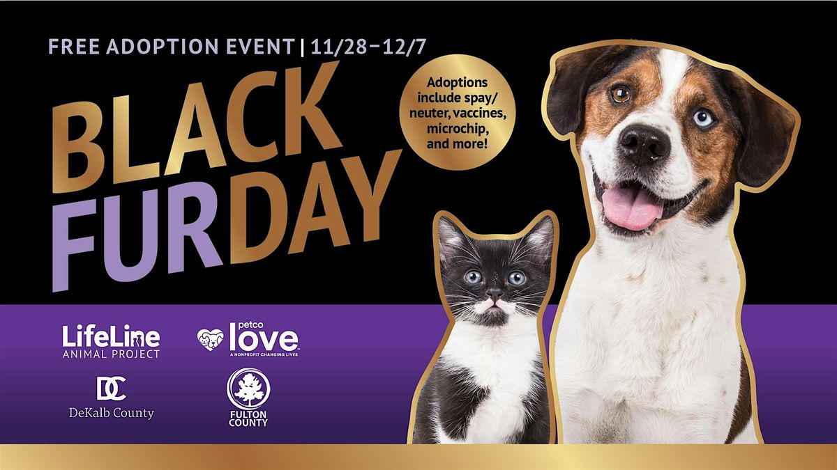 Black Furday Free Pet Adoptions