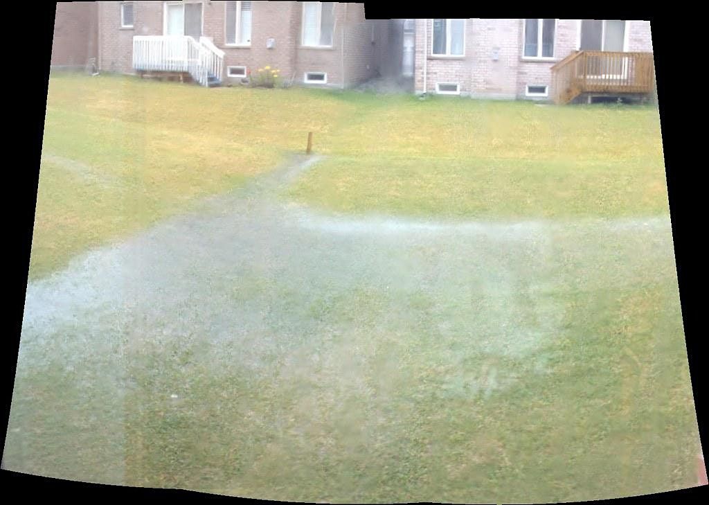 Frederick County Master Gardener Solutions for Wet Areas in Your Yard