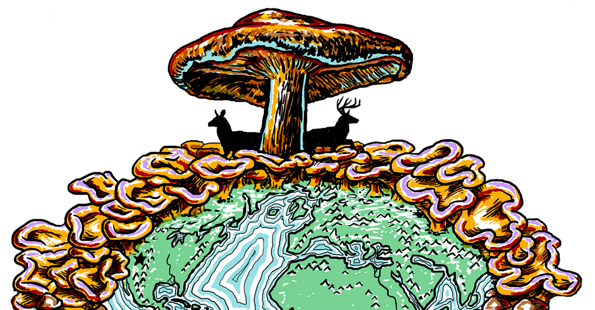 Utah Fungi Festival 2022 Mountain America Exposition Center, Sandy