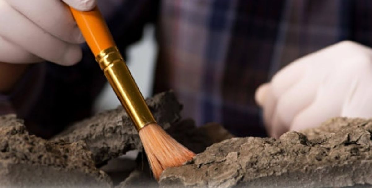 Archaeology Merit Badge April 30 In-Person | Burpee Museum of Natural