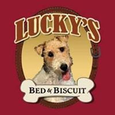 Lucky's Bed & Biscuit