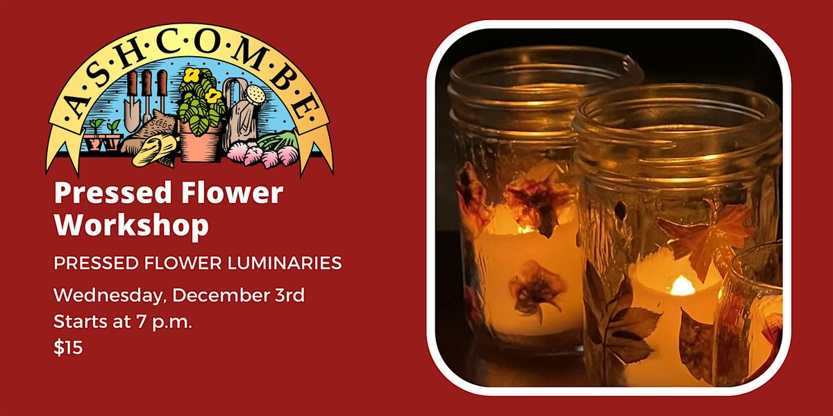 Pressed Flower Luminaries