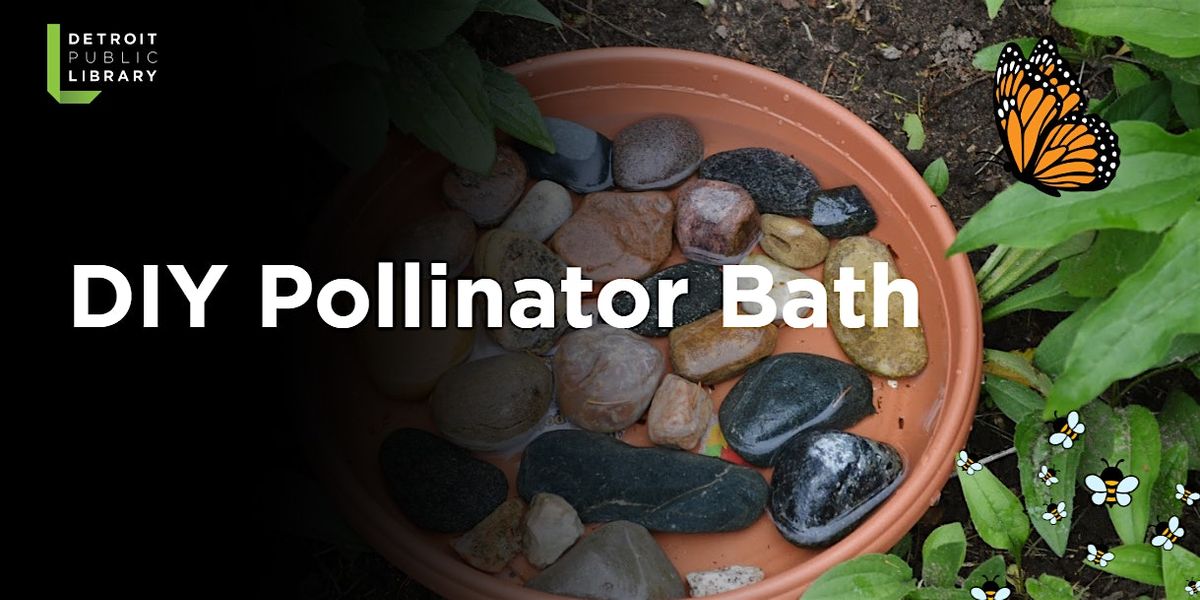 DIY Pollinator Bath