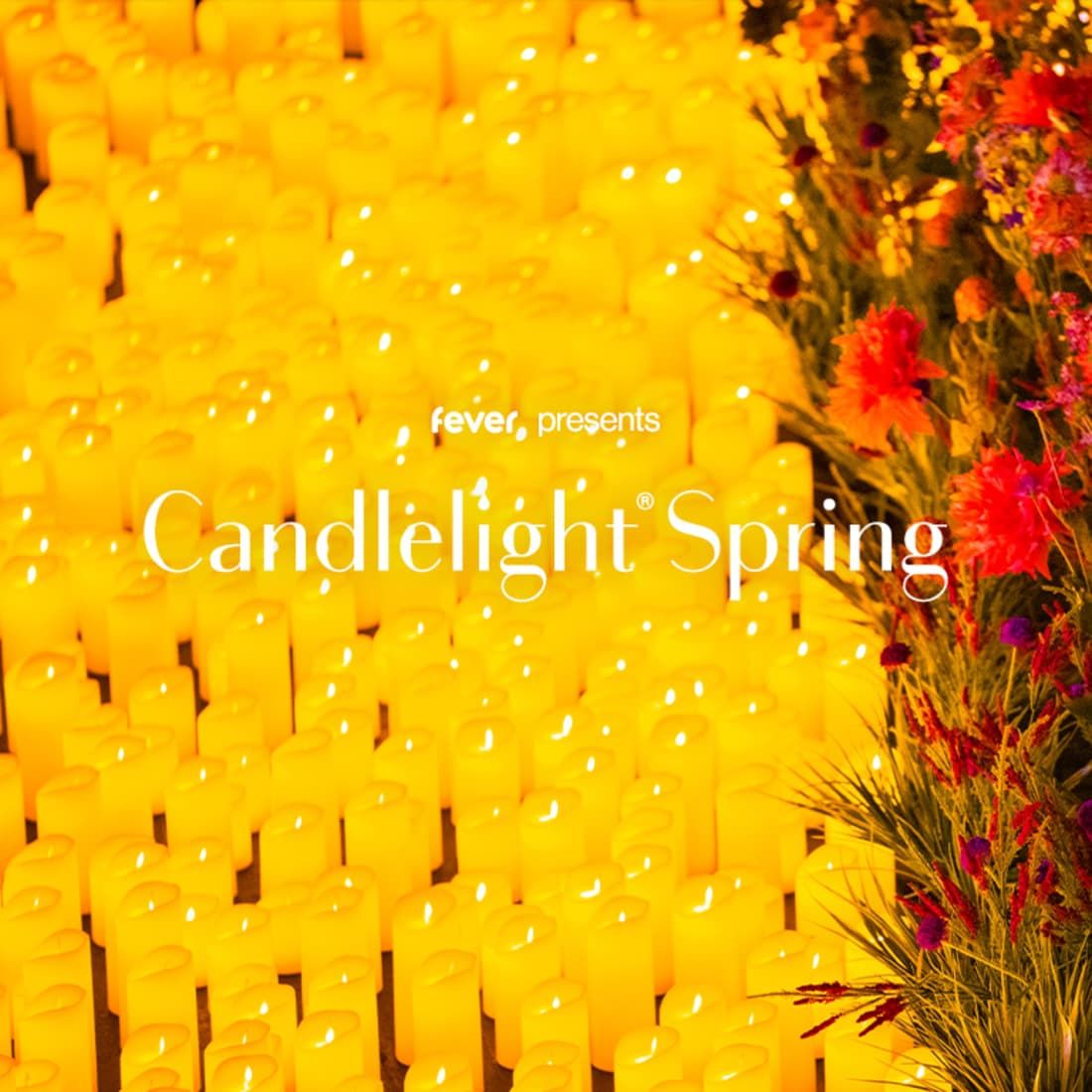 Candlelight Spring: Tribute to Taylor Swift