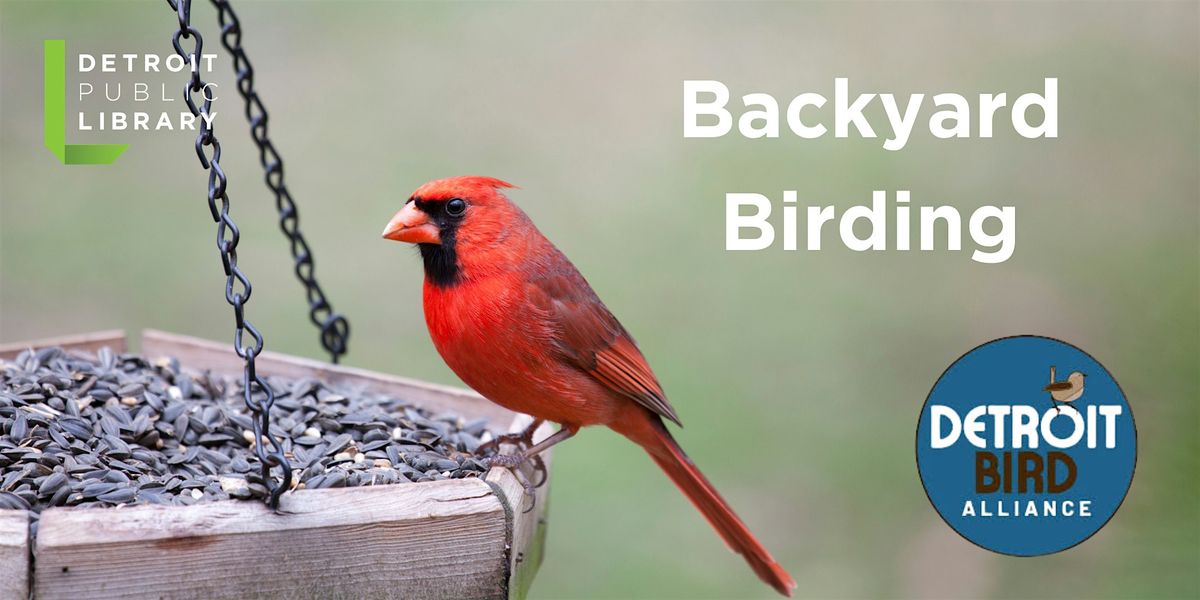 Backyard Birding with the Detroit Bird Alliance