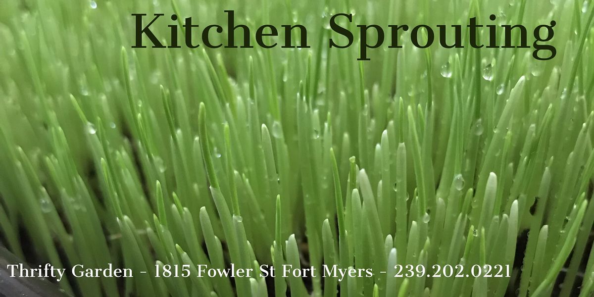 Kitchen Sprouting Level I Thrifty Garden, Fort Myers, FL
