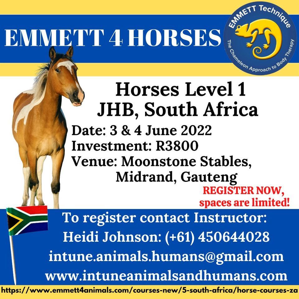 EMMETT 4 Horses Level 1 Midrand, Gauteng, South Africa 3 & 4 June