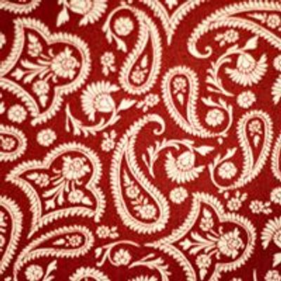 Color Me Paisley