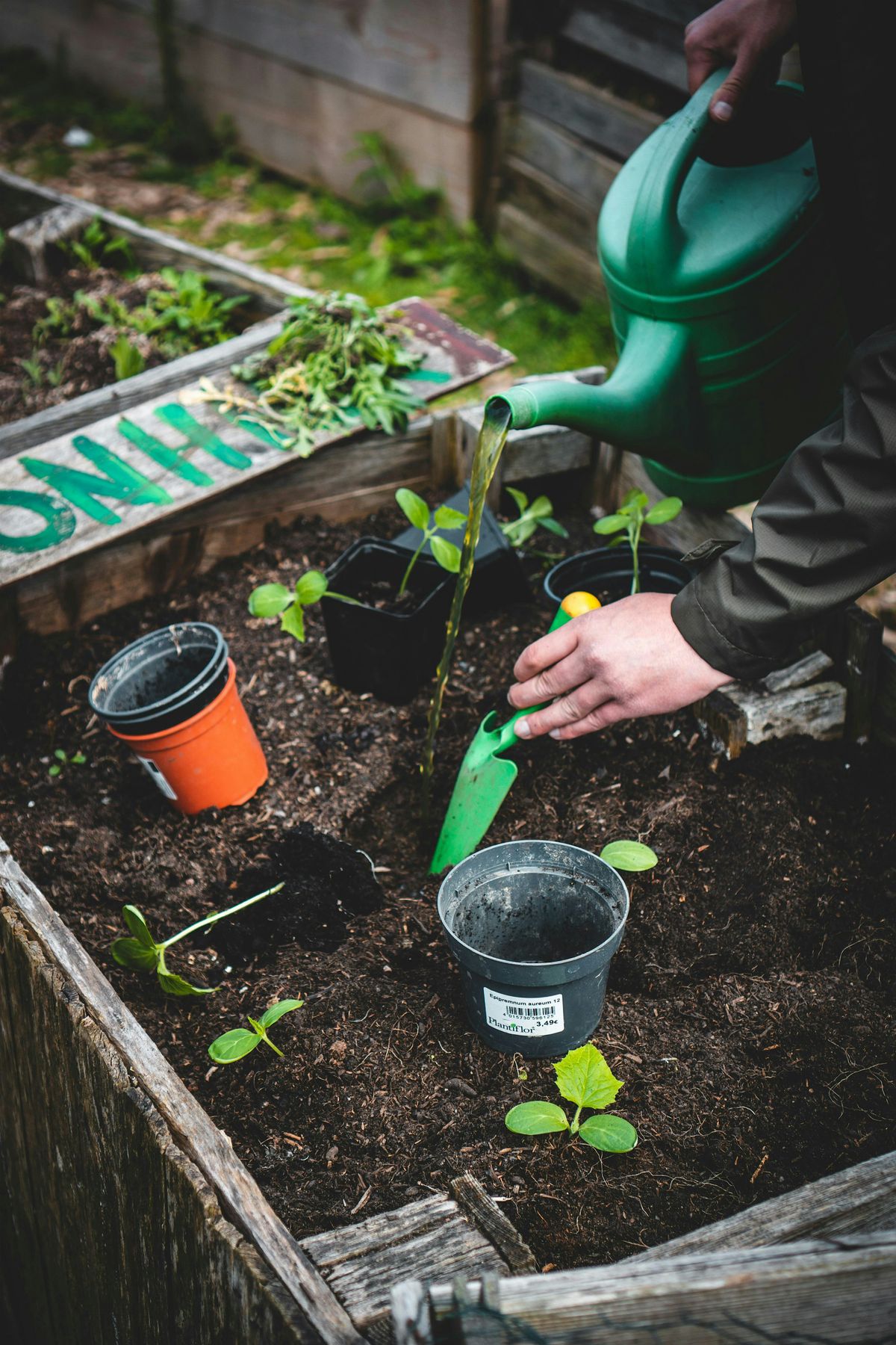 Intro to Gardening 1: Starting your First Garden