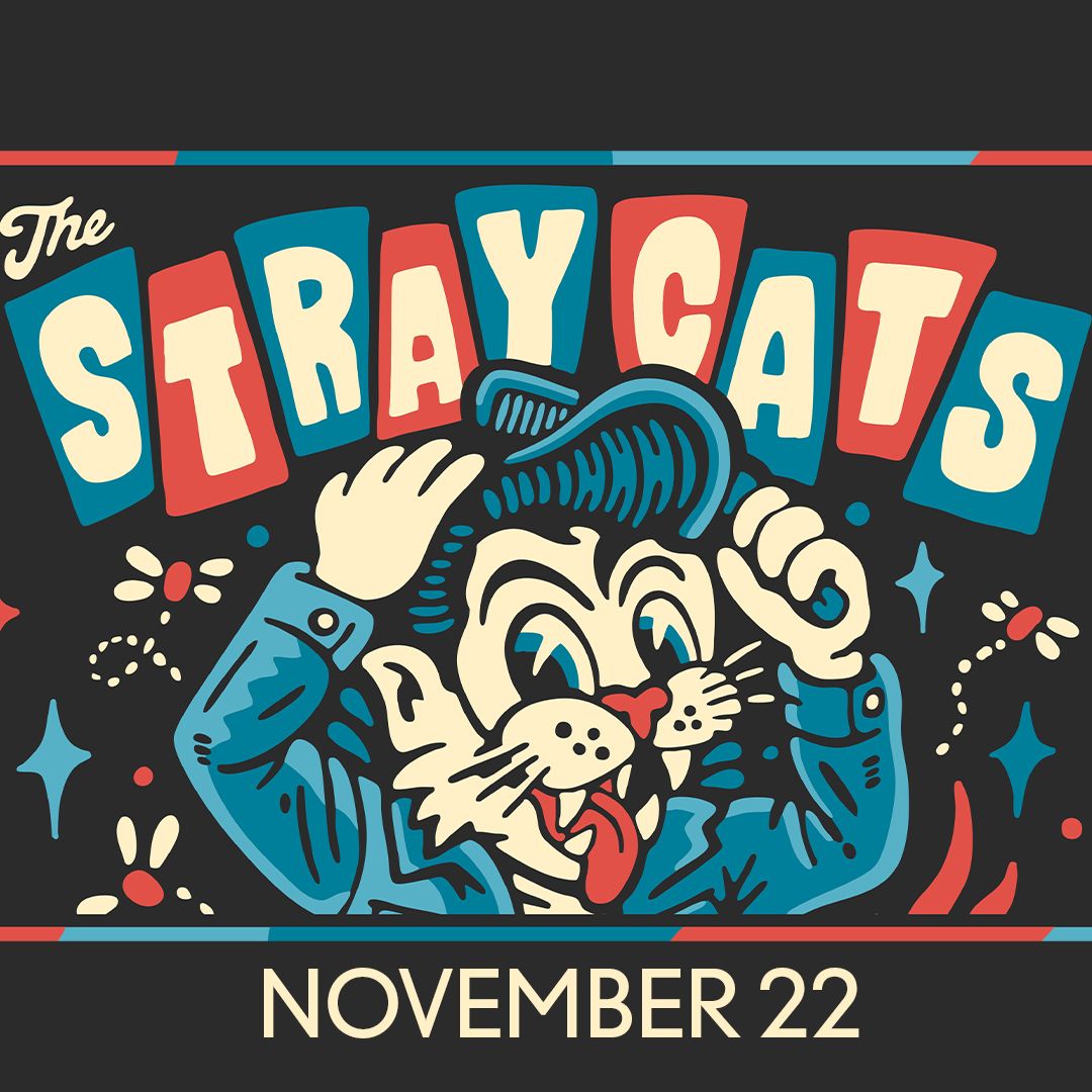 Stray Cats