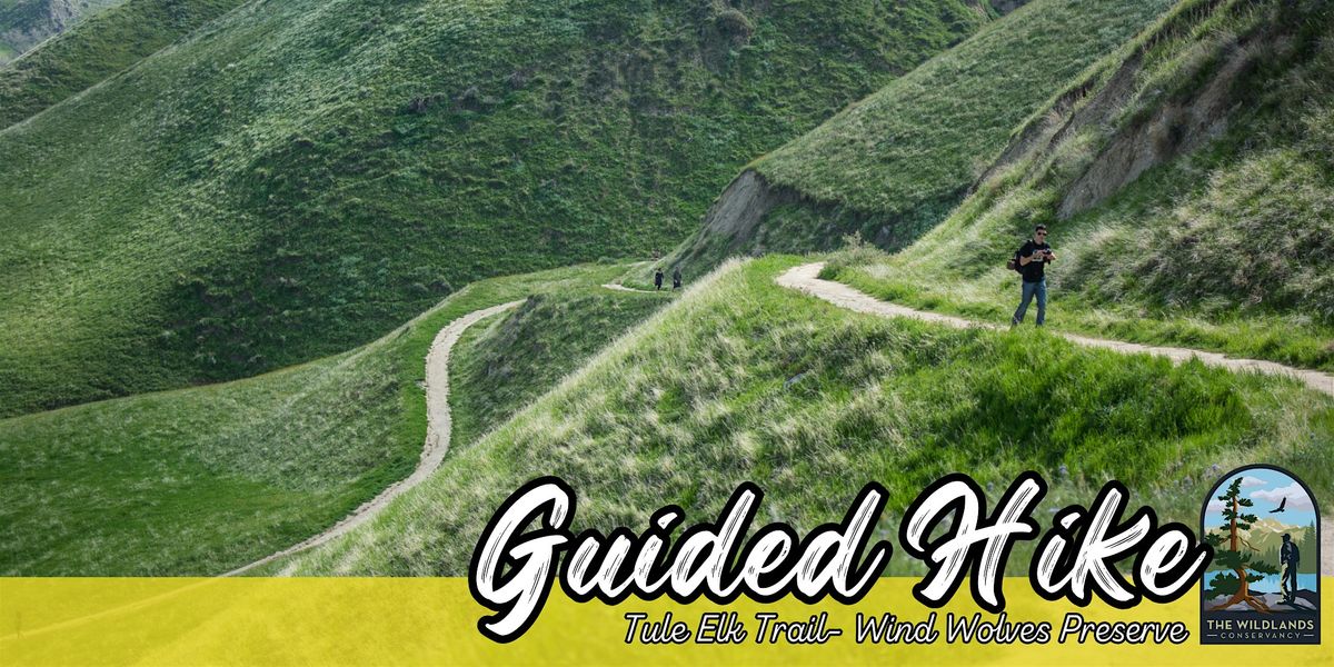 Overlook Challenge: Tule Elk Trail Guided Hike - Wind Wolves Preserve
